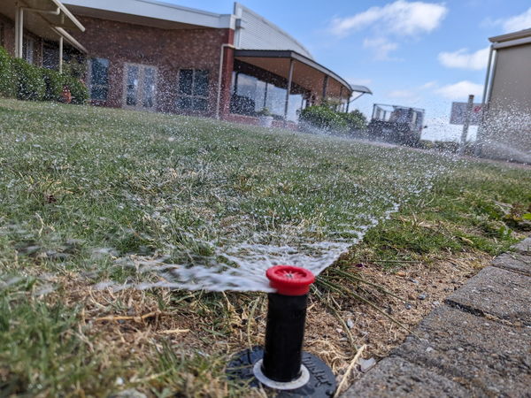 Pop-up sprinkler watering turf