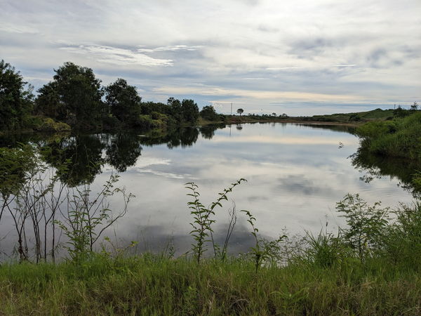 Still wetland water reflecting the sky